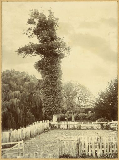 Monrad home, Karere - Resource cover image