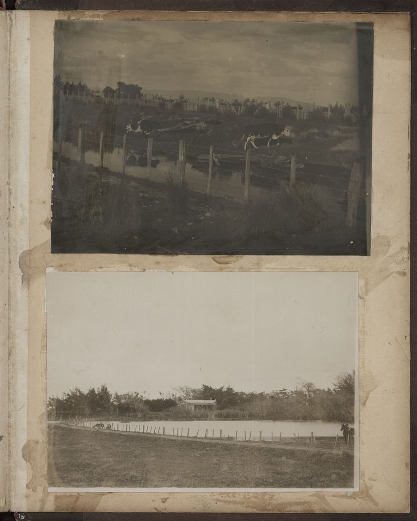 2020P_Monrad-S5V5_032987_027