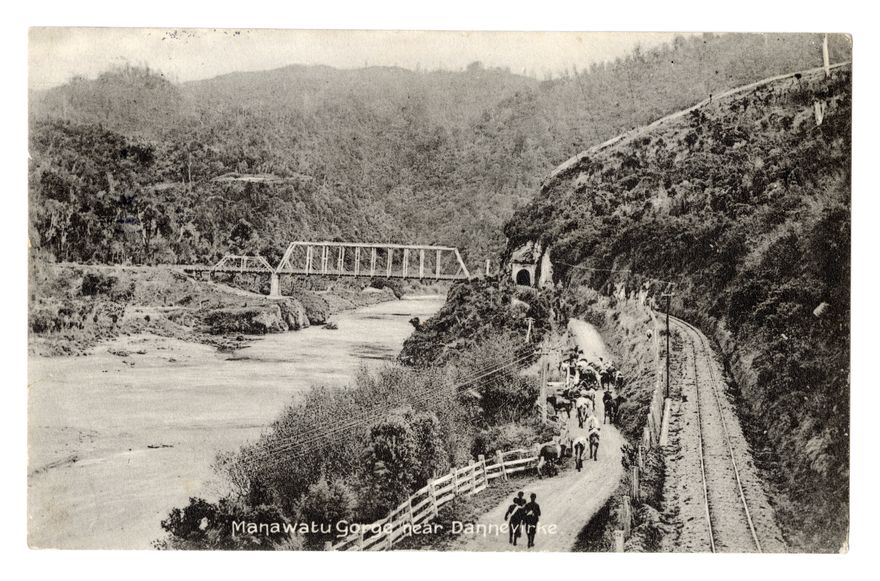Postcard - Gorge near Dannevirke