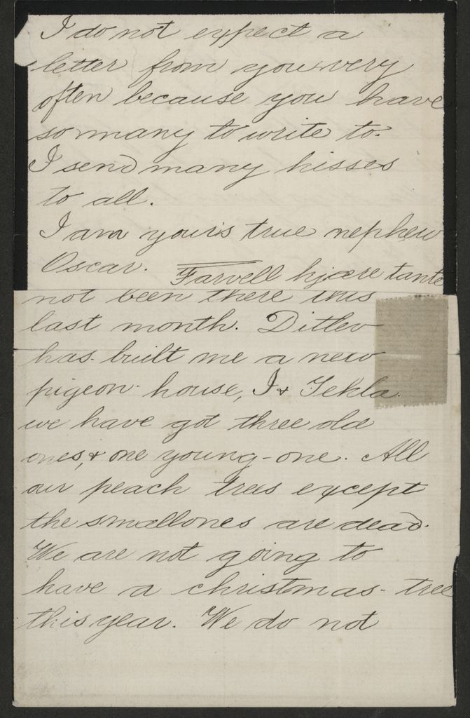 2020P_Monrad-S2_032966_003