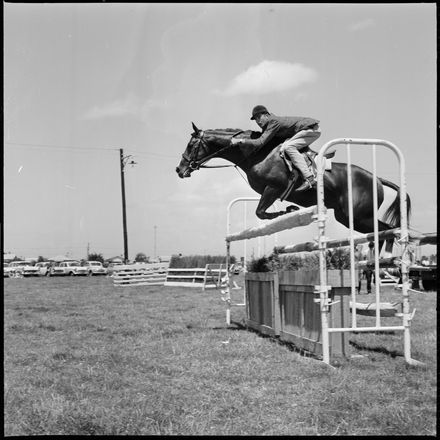 2018N_2017-20_MS000950 - Skilful Showjumping