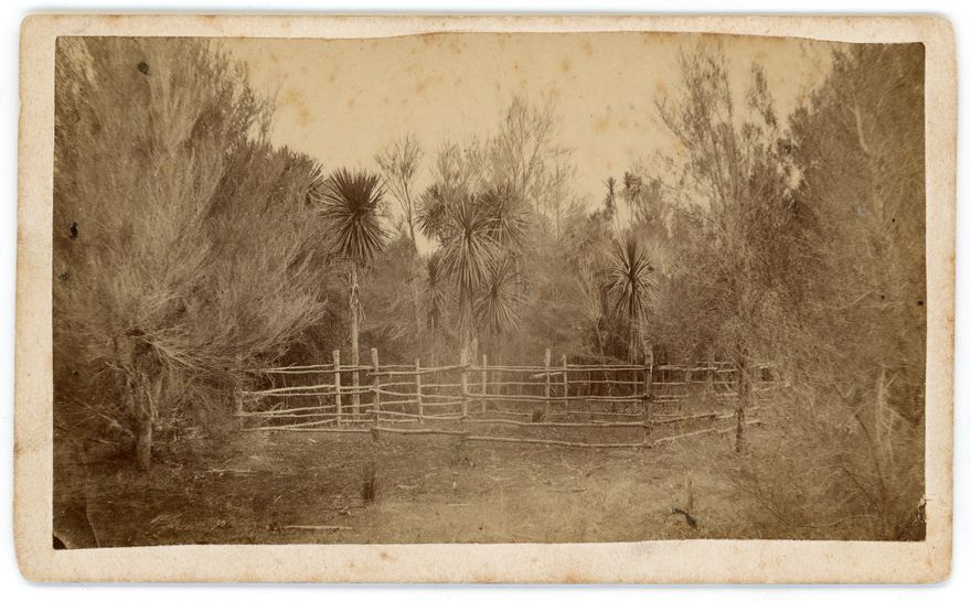 2026P_Monrad_S2_044244_023