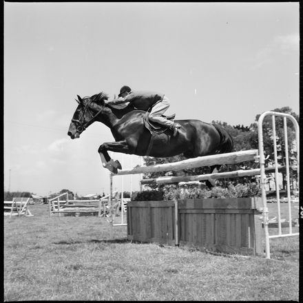 2018N_2017-20_MS000946b - Skilful Showjumping