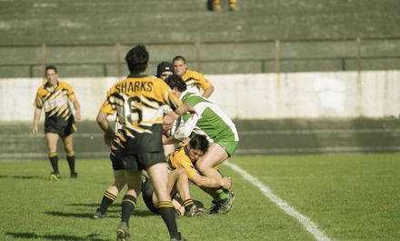 “Attacks pays off for rampant Mustangs” - Resource cover image