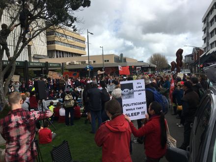 Climate Change Protests