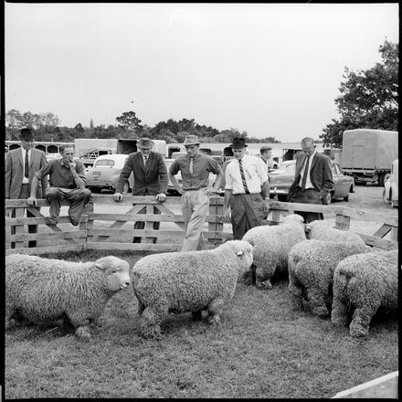 Judging Romney Ram