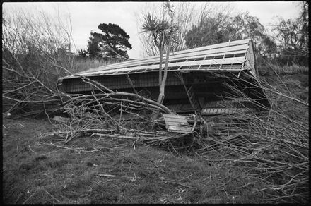 Sheep Truck Accident - Resource cover image
