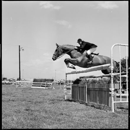 2018N_2017-20_MS000949a - Skilful Showjumping