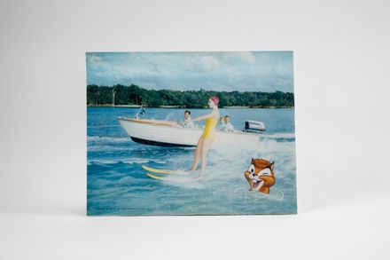 Stegmaier Waterskiing Sign Insert