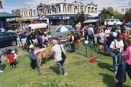Feilding Herald - Translation missing: en.resource_type.collection cover image