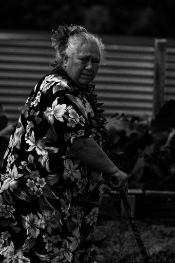 "Belonging [Hononga] [Pertencimento]" - Collection cover image