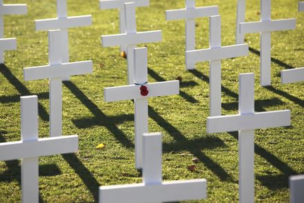 Poppy Places - Collection cover image