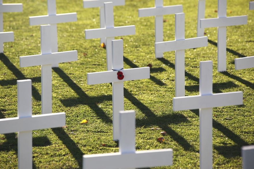 Poppy Places Poppy Places